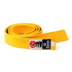 Ceinture Jaune Daedo