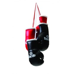 Mini gants de boxe Daedo