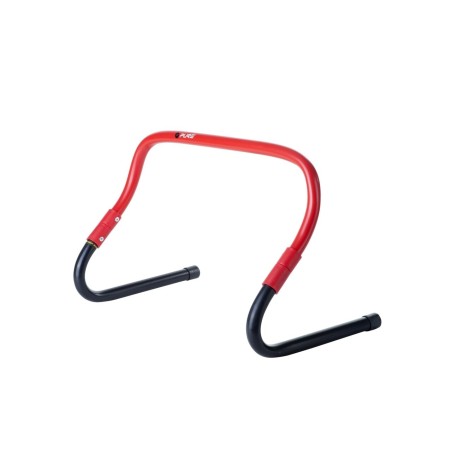 Ensemble de haies Pure2Improve Sprint