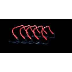 Ensemble de haies Pure2Improve Sprint 2