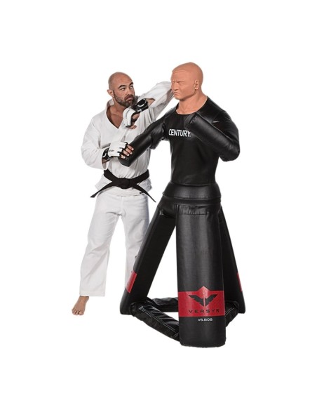 BASE DE FRAPPE CENTURY VERSYS VS BOB