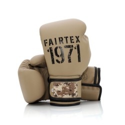 FAIRTEX F-DAY TRAININGSHANDSCHOENEN 2