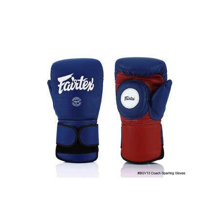 FAIRTEX LERAAR HANDSCHOENEN