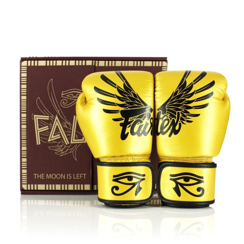Gants d'entrainement FAIRTEX cuir top "FALCON"