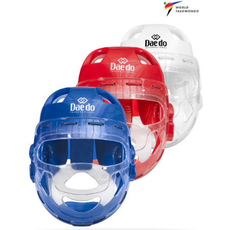 WT MASK CASQUE