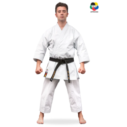 KARATEGI "BUNKAI MASTER"