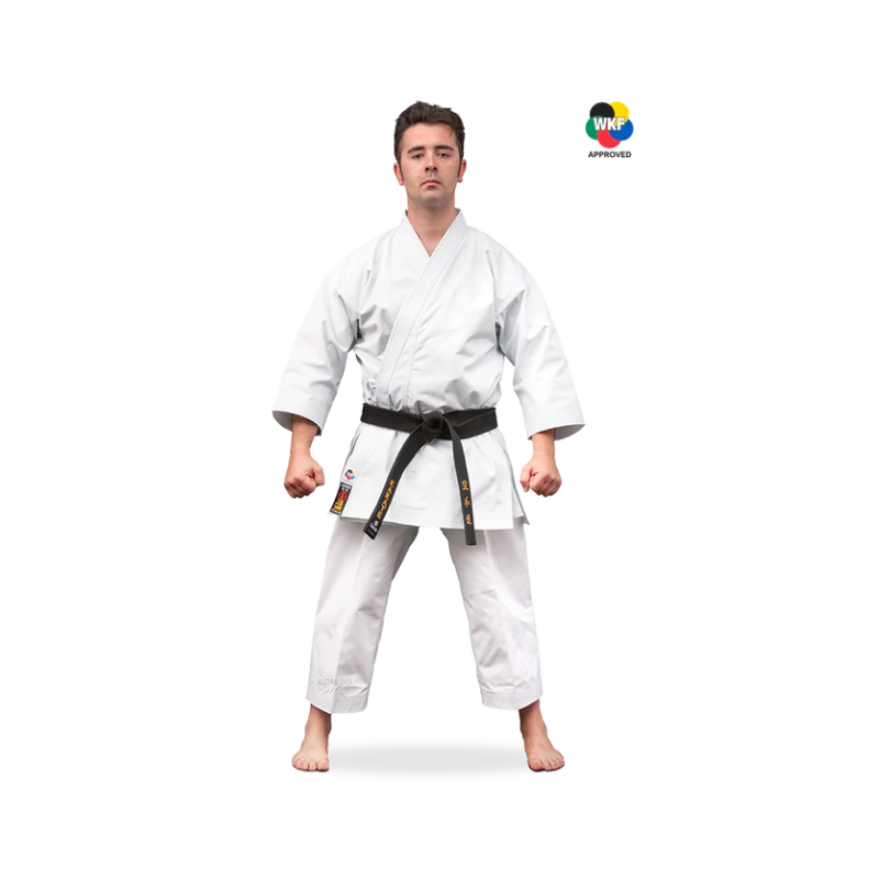 KARATEGI "BUNKAI MASTER"