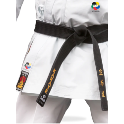 KARATEGI "BUNKAI MASTER" 2
