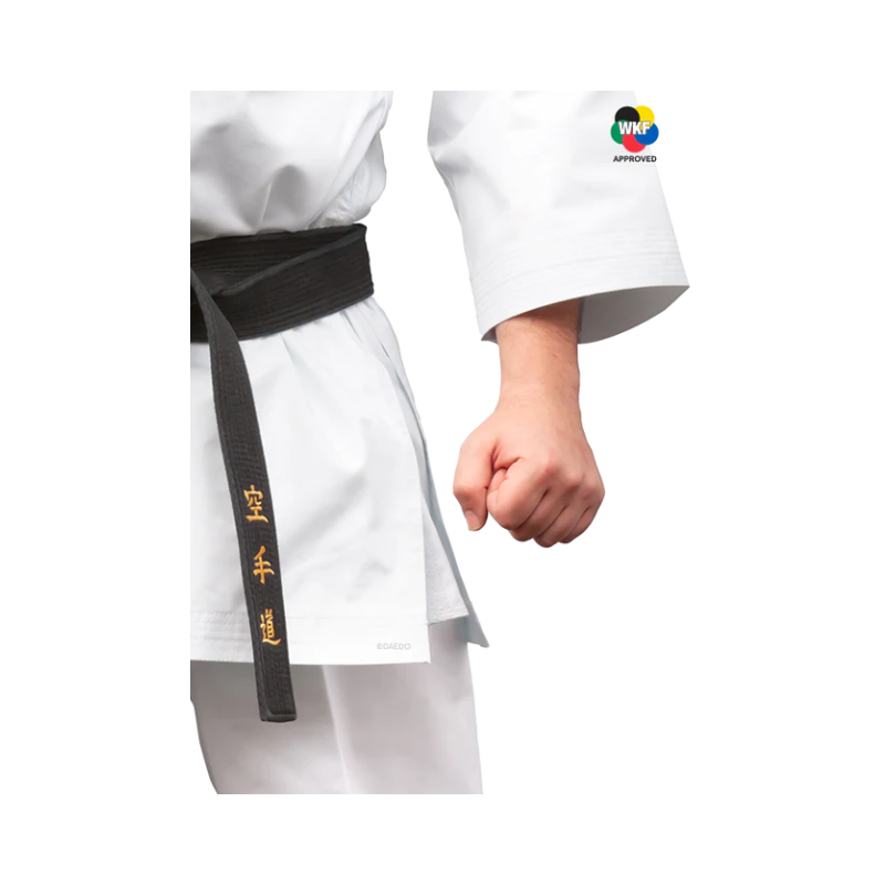 KARATEGI "BUNKAI MASTER"